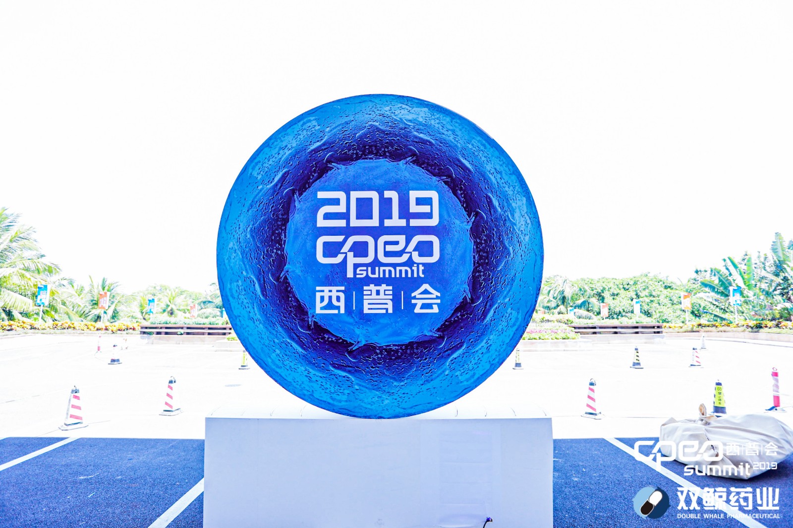 “你们的胶口感真不错”丨西普会龟鹿药业三胶引热议 